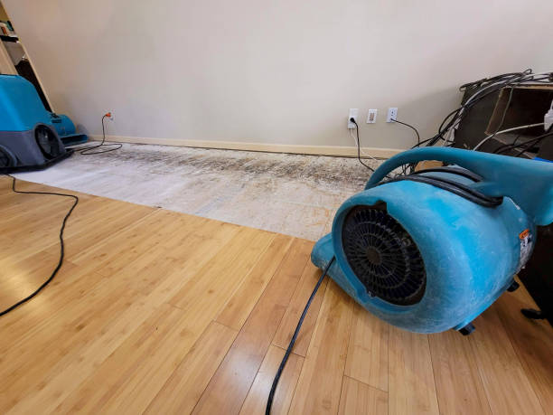 Professional Sewage Cleanup technician working in Claymont, DE